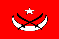 پرچم غوریان